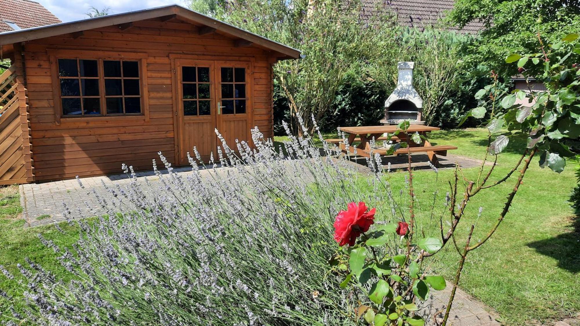 Ferienhaus Sasse Ferienwohnungen Mit Garten & Grill Molschow Buitenkant foto